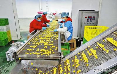 在乡下办厂有什么好项目(投资3万以内的小生意)